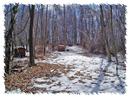 Archery Range