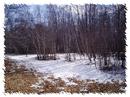Hunting Area